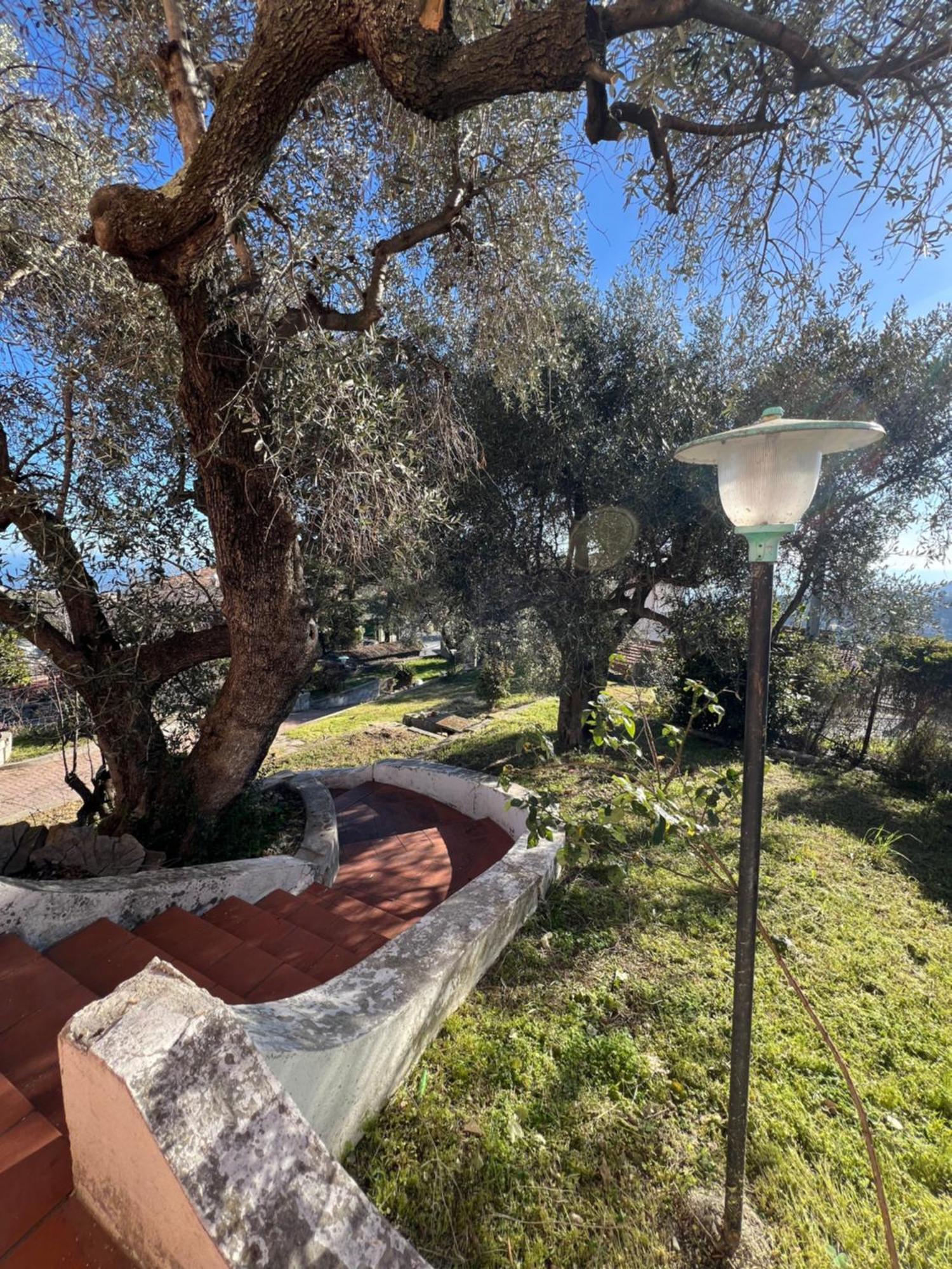 Villa In Collina Vista Mare Sanremo Bagian luar foto