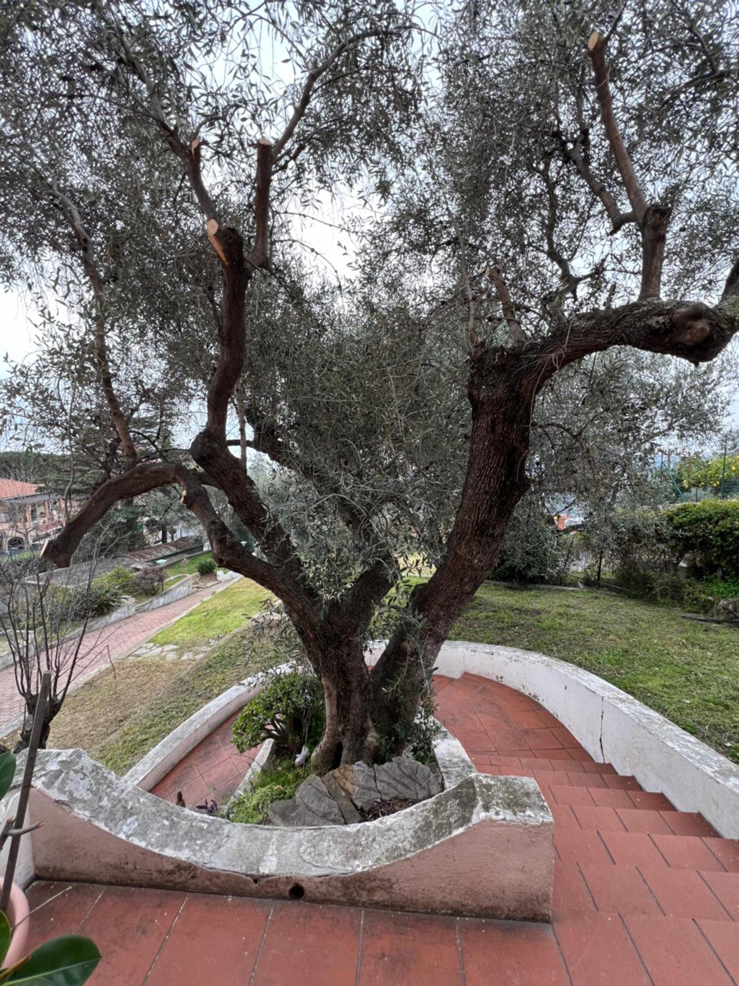 Villa In Collina Vista Mare Sanremo Bagian luar foto