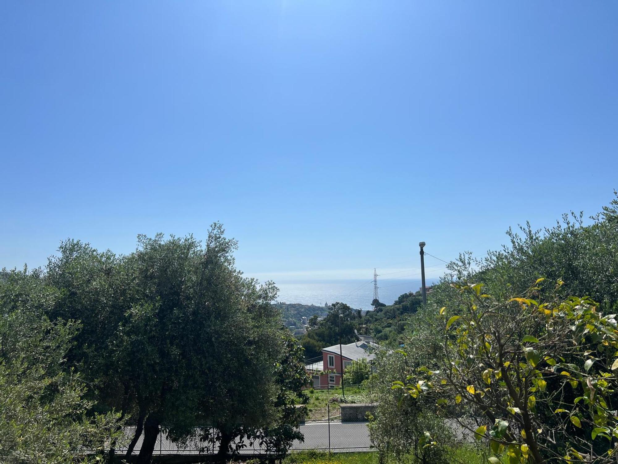 Villa In Collina Vista Mare Sanremo Bagian luar foto